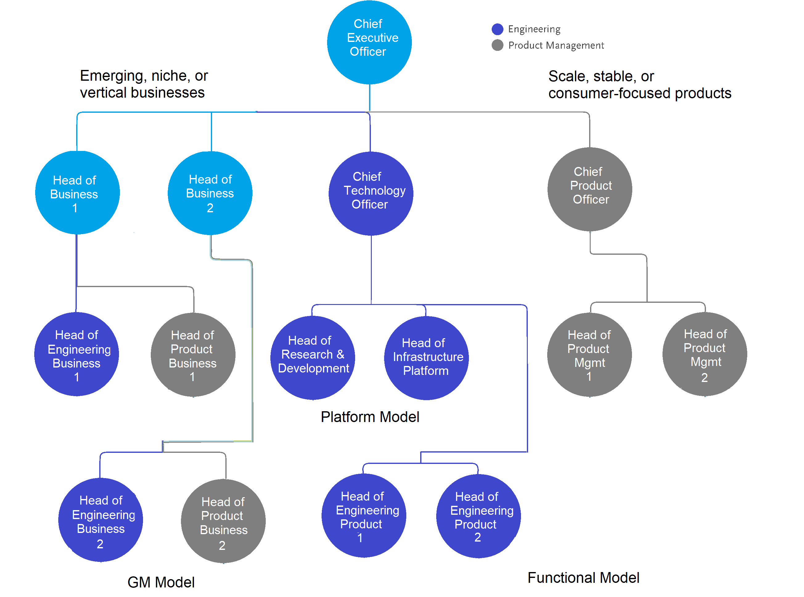 Product Organization Structure